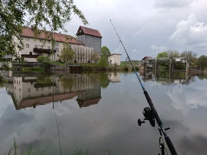 Donau (Munderkingen)