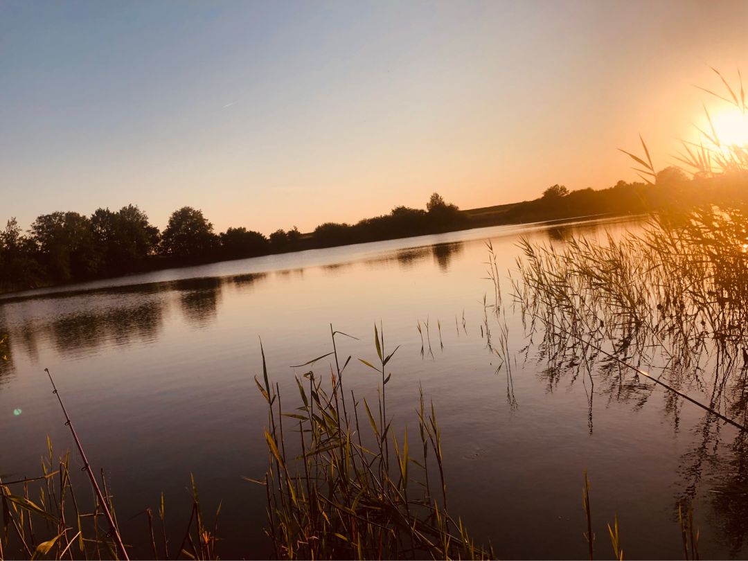 Karpfenteich Oll Mur (Grevesmühlen) angeln