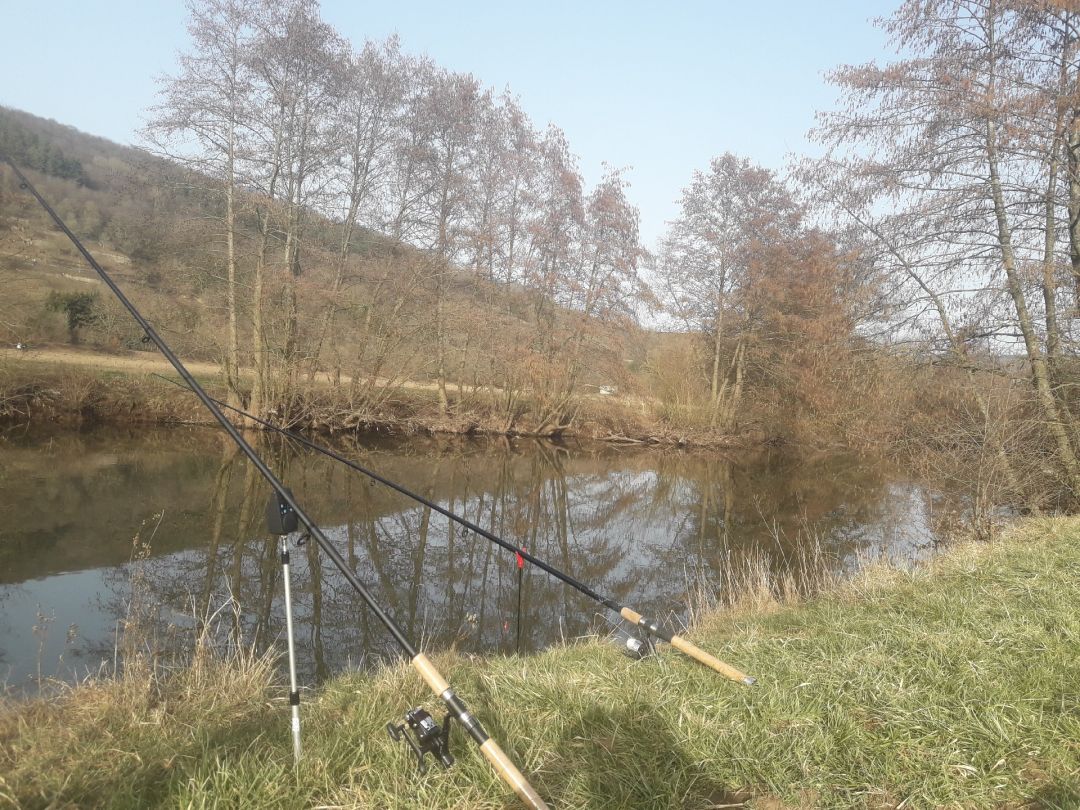 Angeln in Odernheim am Glan