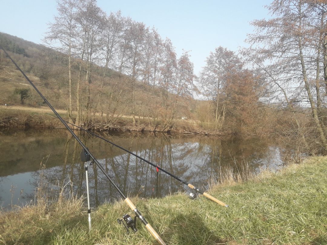 Angeln in Waldböckelheim