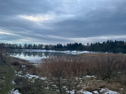 Hermannsee (Mechelroda)
