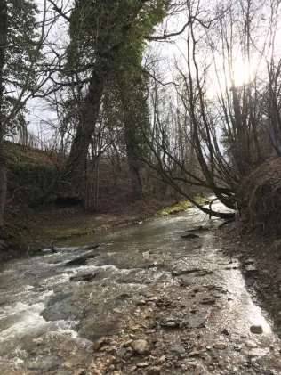 Lauter (Kirchheim unter Teck)