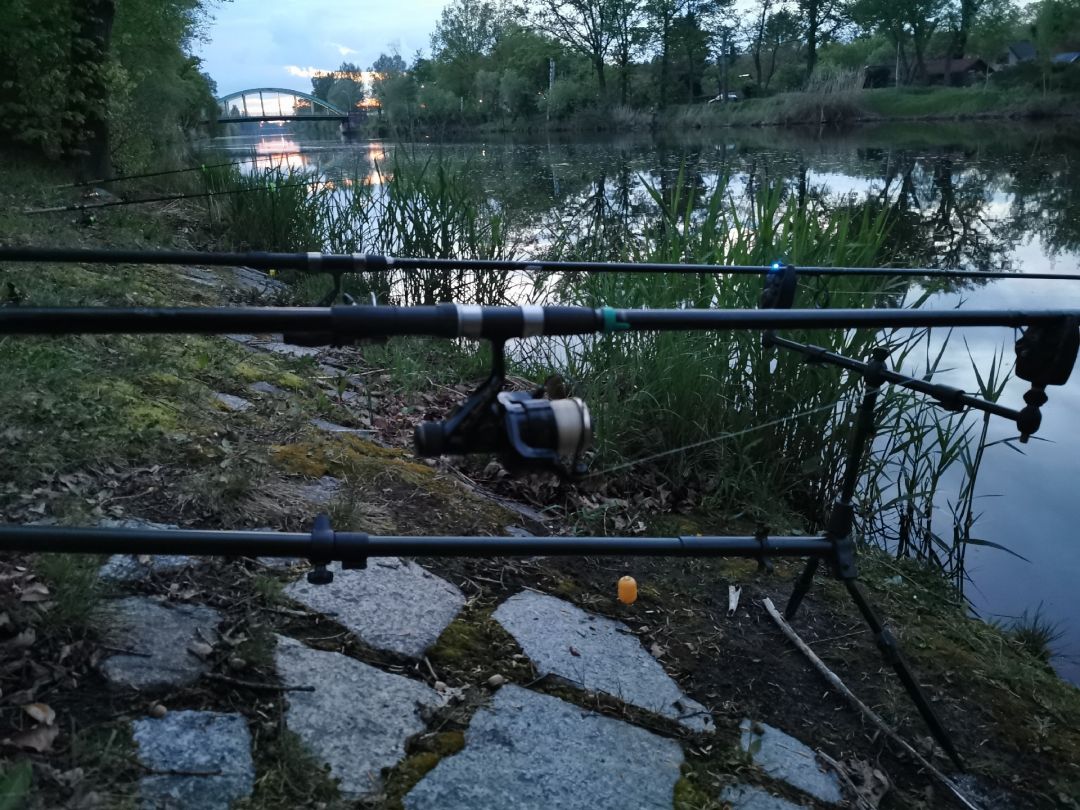 Hohenzollernkanal (Berlin-Tegel) angeln