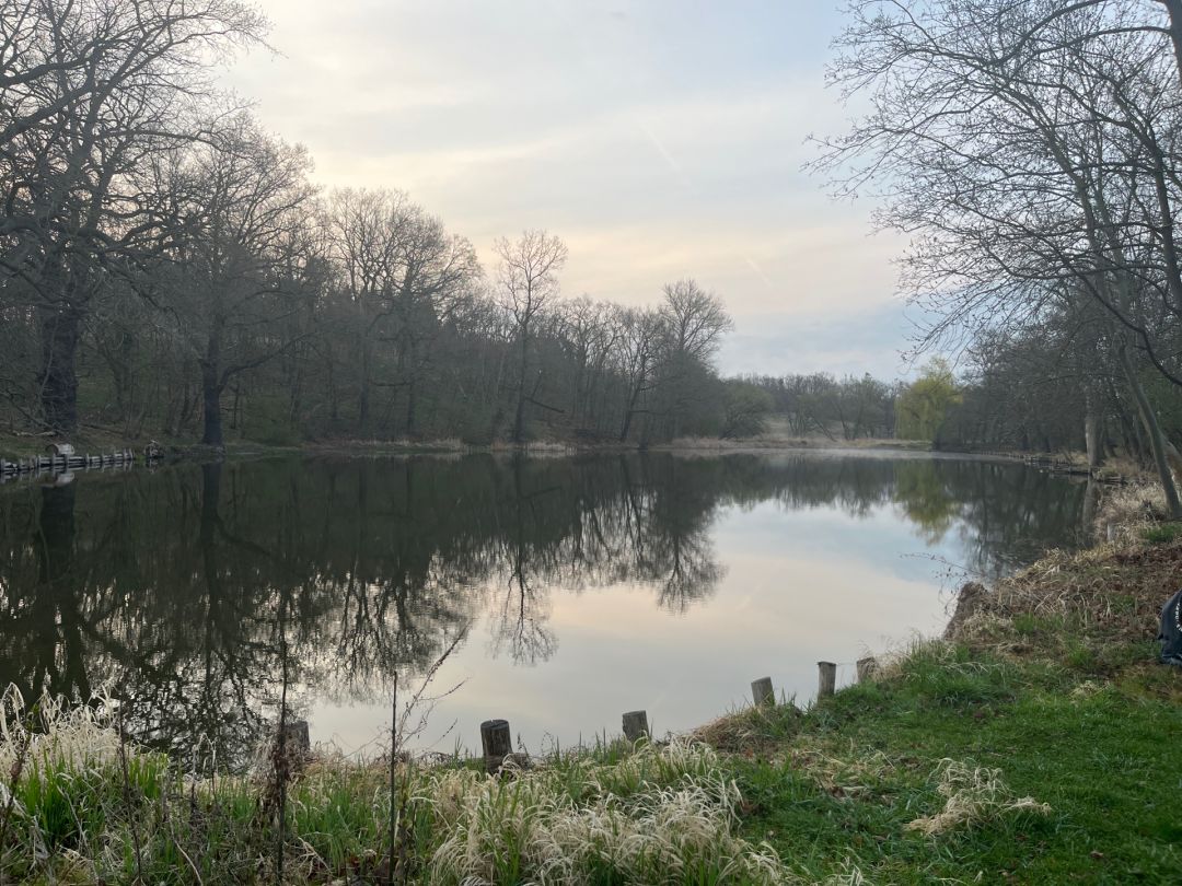 Alter See (Nünchritz) angeln