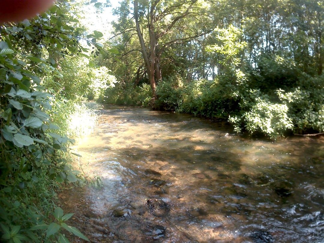 Angeln in Bodenrode-Westhausen