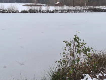 Ruppertweiher (Putzenreuth)
