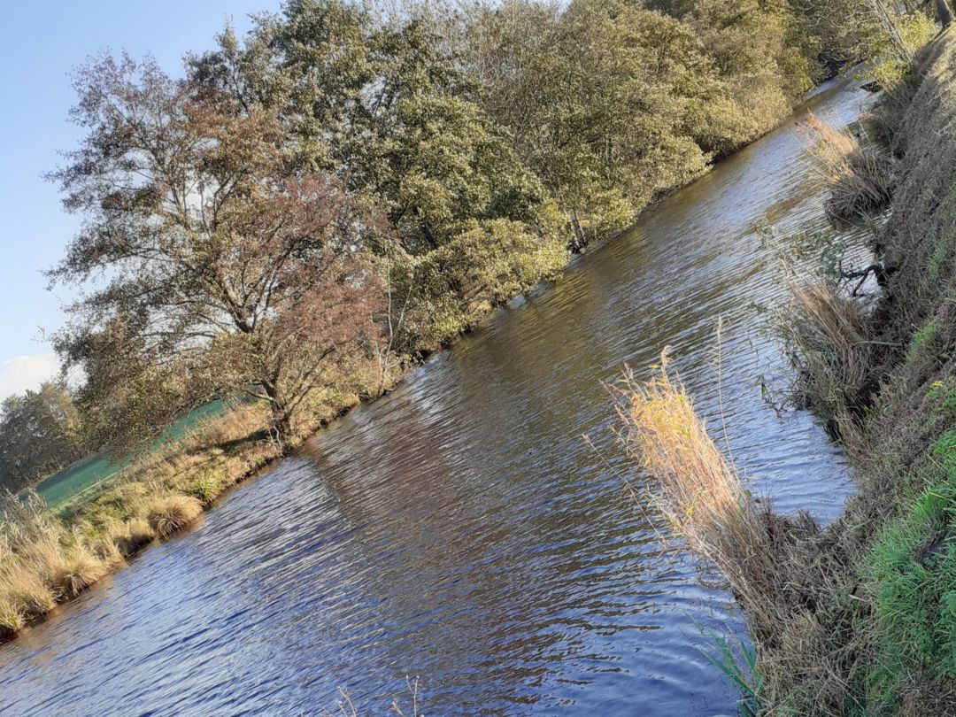 Boekzeteler Meer angeln