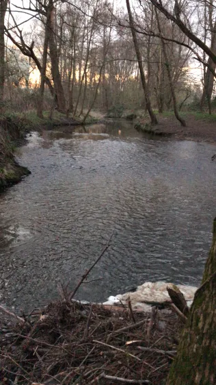 Eschbach (Frankfurt-Harheim)