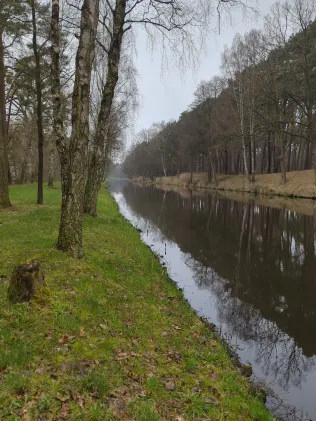 Elde (Eldena)