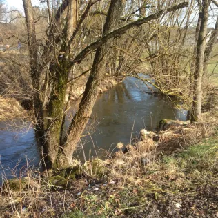 Großer Michelbach