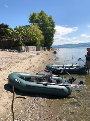 Bodensee (Langenargen)