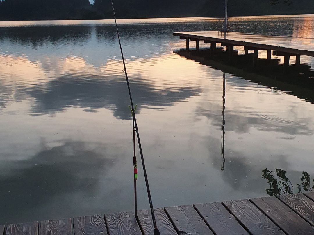 Hartsee (Eggstätt) angeln