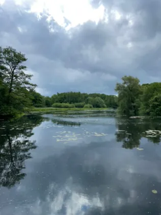 Teich Wulksfelde