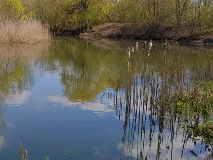 Teiche am Wasserwerk Sietzsch