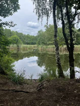 Kiesgrube Löwendorf (Gröben)