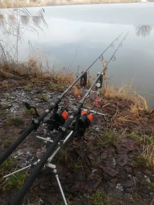 Finsterer Weiher (Blindheim)