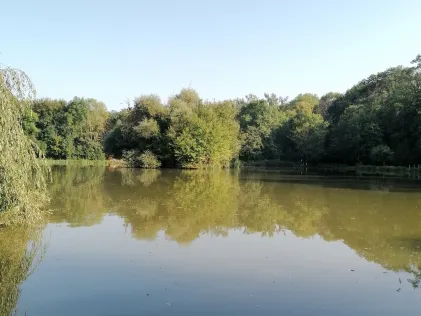Böhmenteich (Bad Langensalza)
