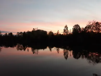 Josefsee (Gundelfingen)