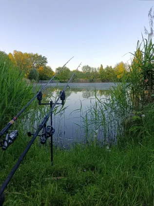 Wasserlebener Teich