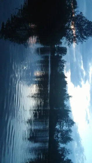 Börnersee (Königsmoos)
