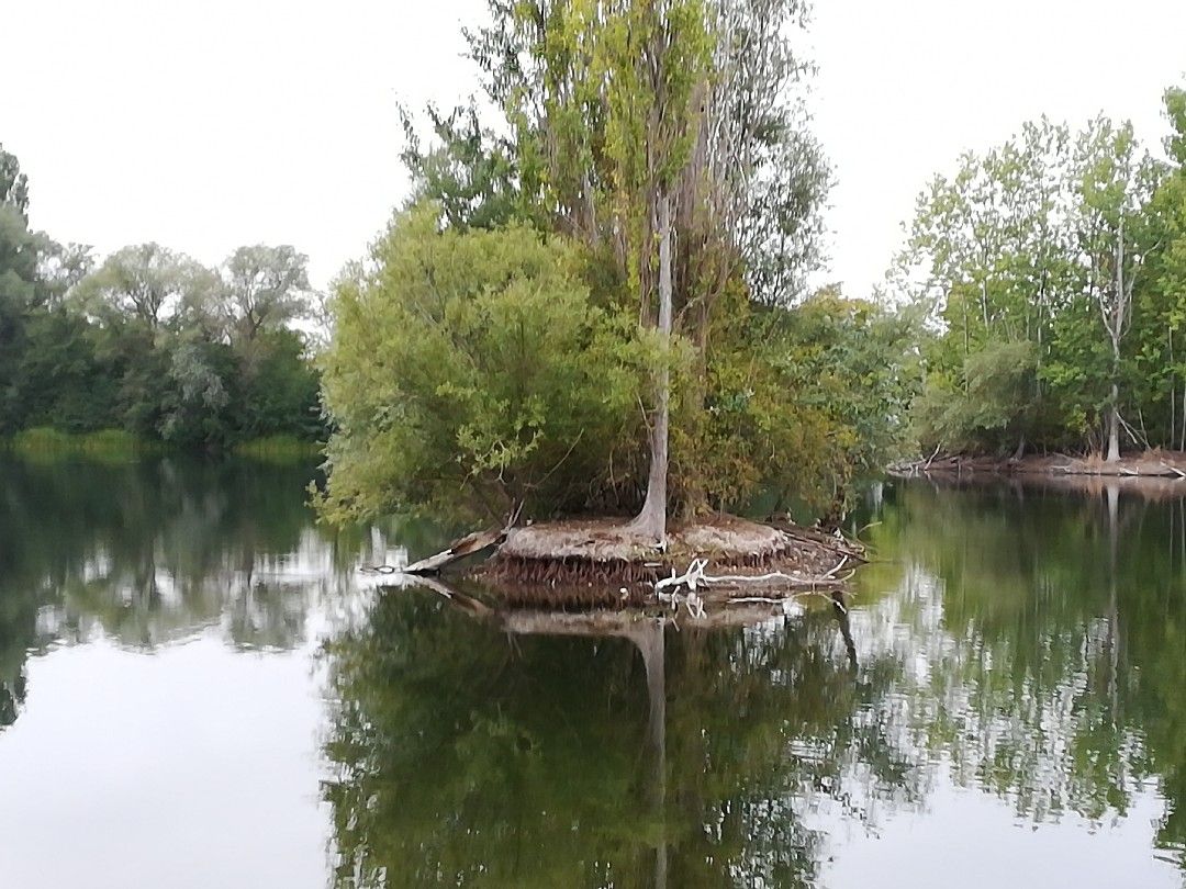 Teich 2 (Eschwege) angeln