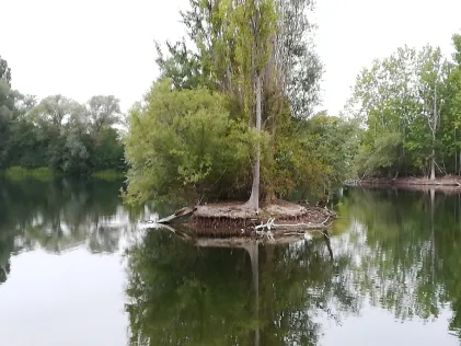 Teich 2 (Eschwege)
