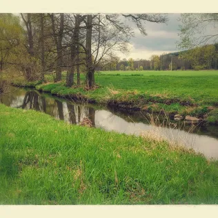 Fichtelnaab (Reuth)
