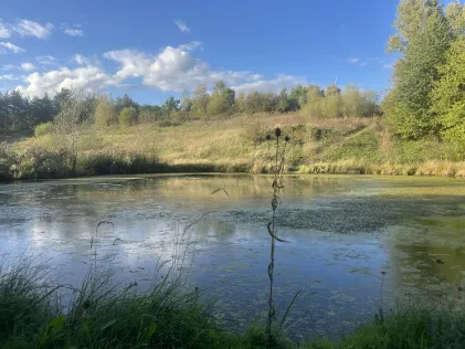 Bedburger Auweiher (Bedburg)