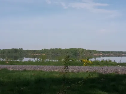 Knappensee (Groß Särchen)