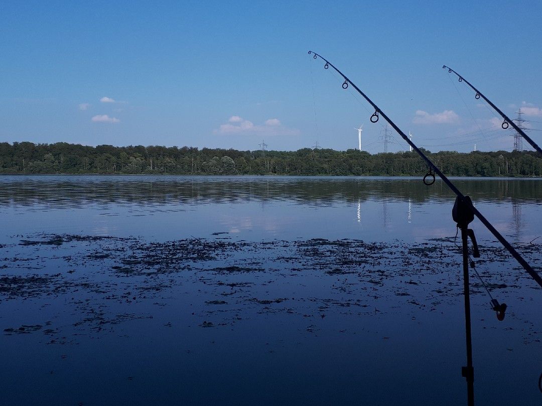 Knielinger See angeln