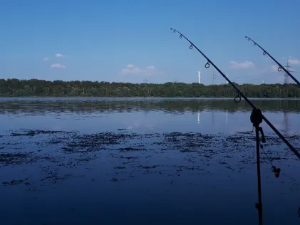 Knielinger See