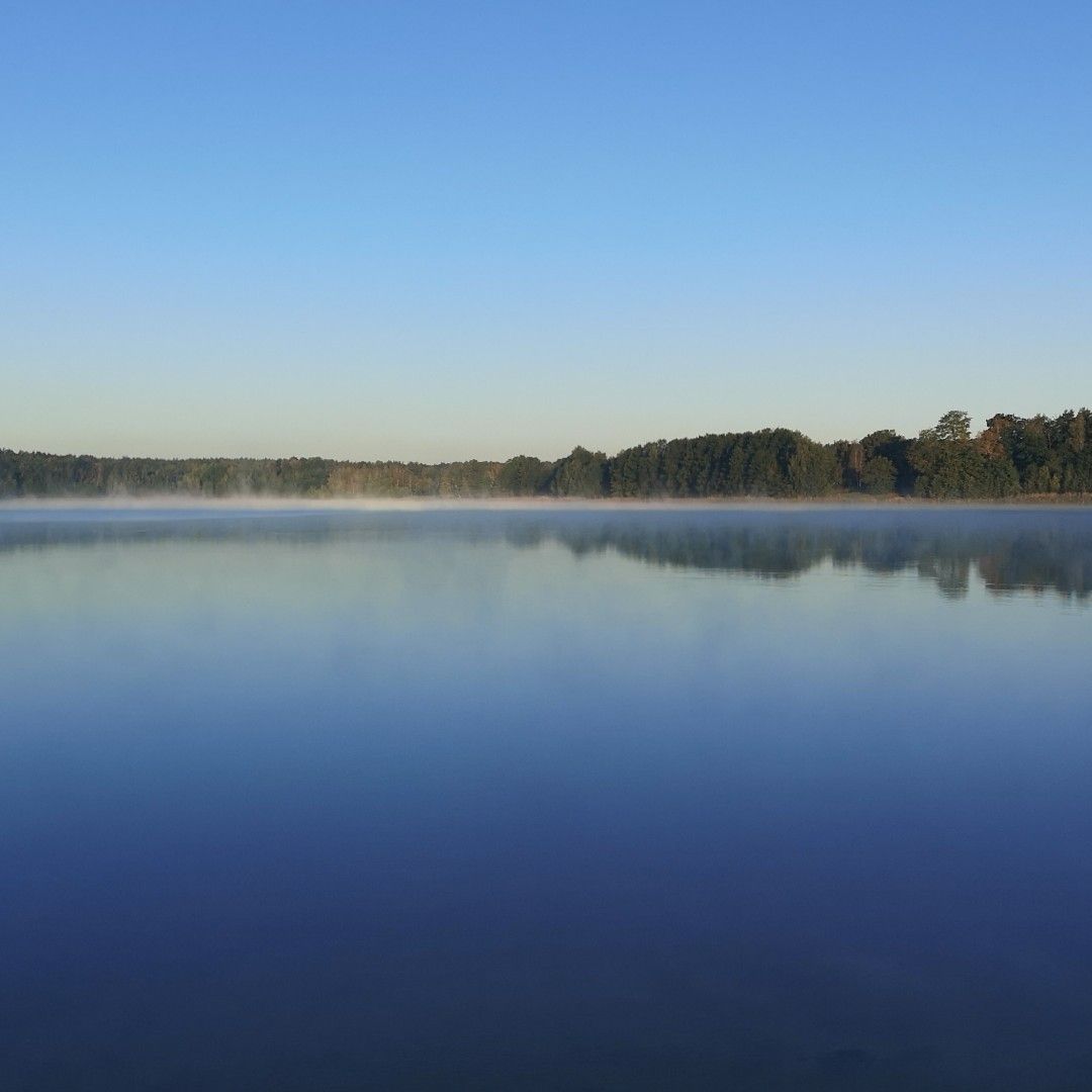 Großsee (Tauer) angeln