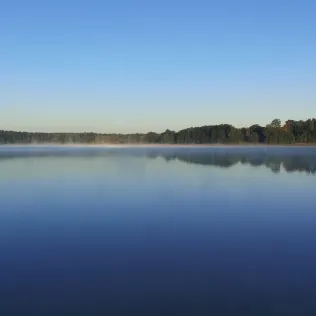 Großsee (Tauer)