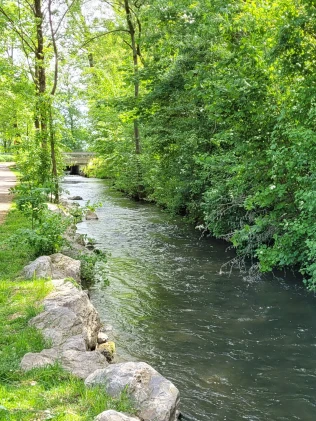 Gänsbach (Oberschleißheim)