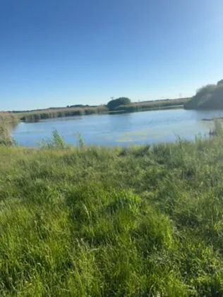 Kiewittfenn (Fohrde)