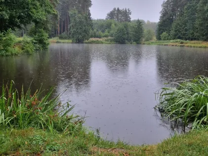 Panoramaweiher (Immenreuth)