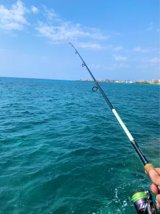 Mittelmeer (Mallorca)