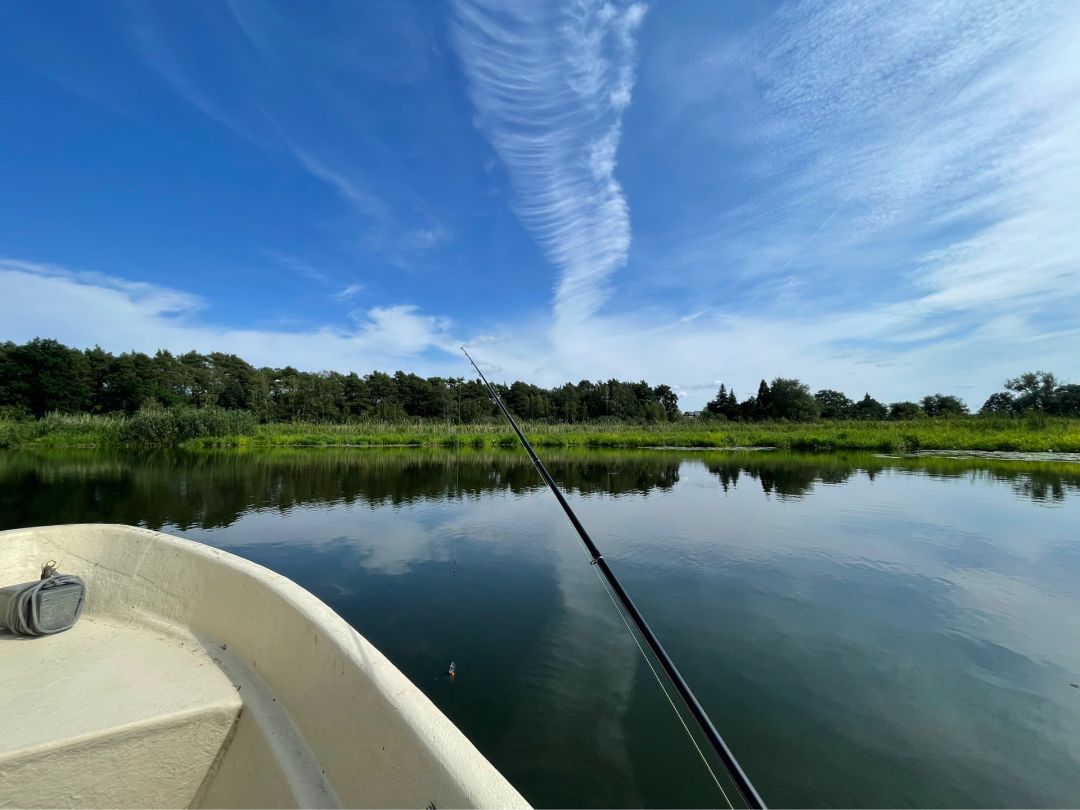 Havel (Mögelin) angeln