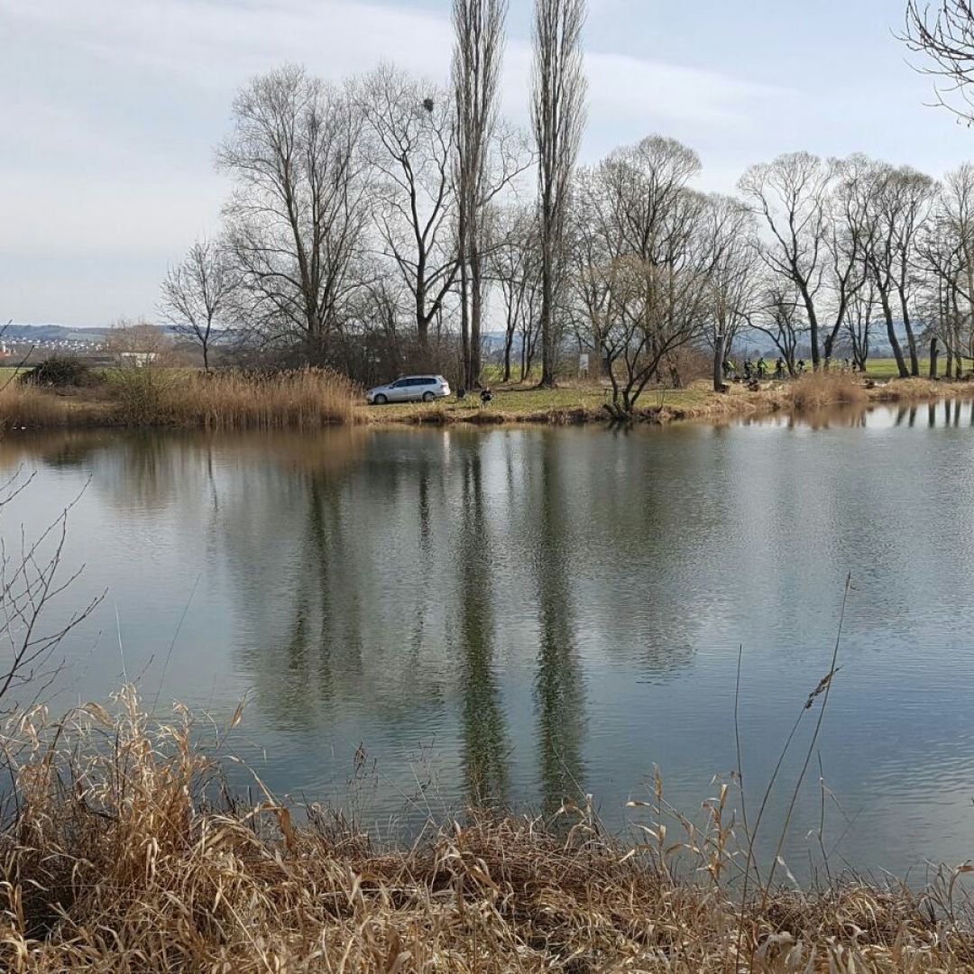 Lispenhausen Teich 1 angeln