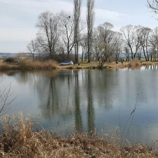 Lispenhausen Teich 1