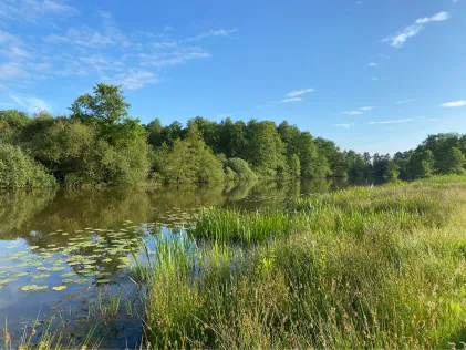 Bierder See (Böhme)