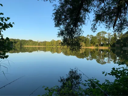 Diestelower See