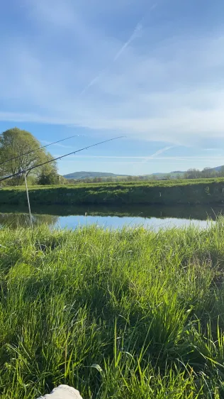 Leine (Northeim)