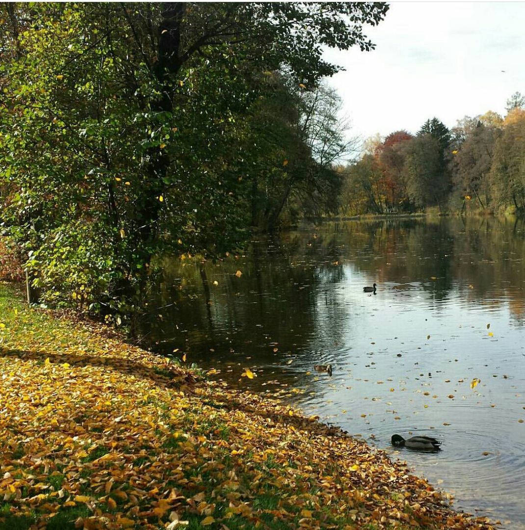 Angeln in Ebersberger Forst