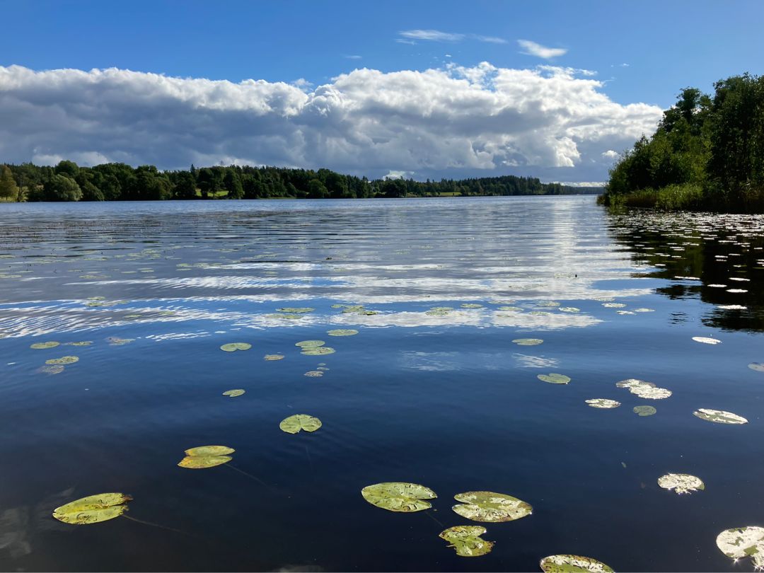 Asasjön angeln