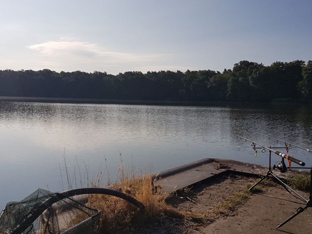 Krumme Lanke (Rangsdorf) angeln