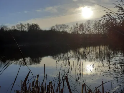 Karpfenteich (Groß Stieten)