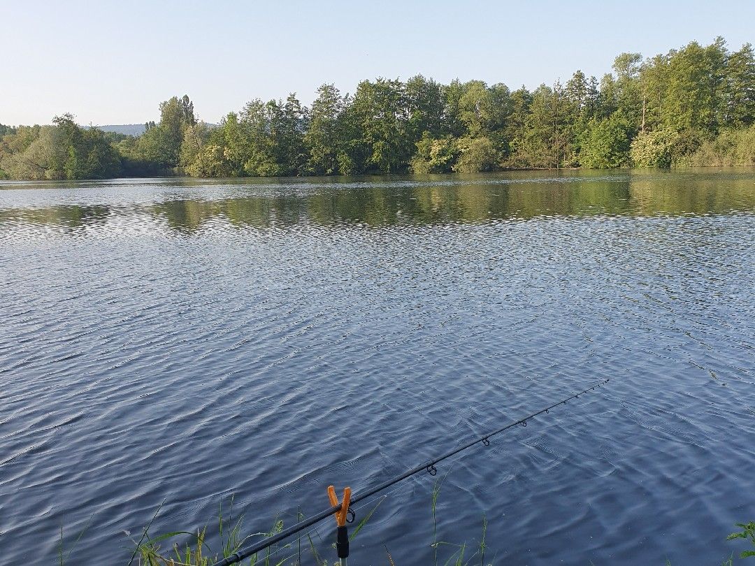 Angeln in Knetzgau