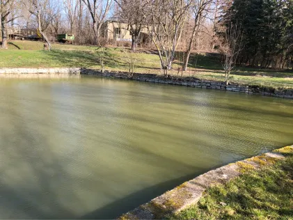 Dorfteich Eilsdorf