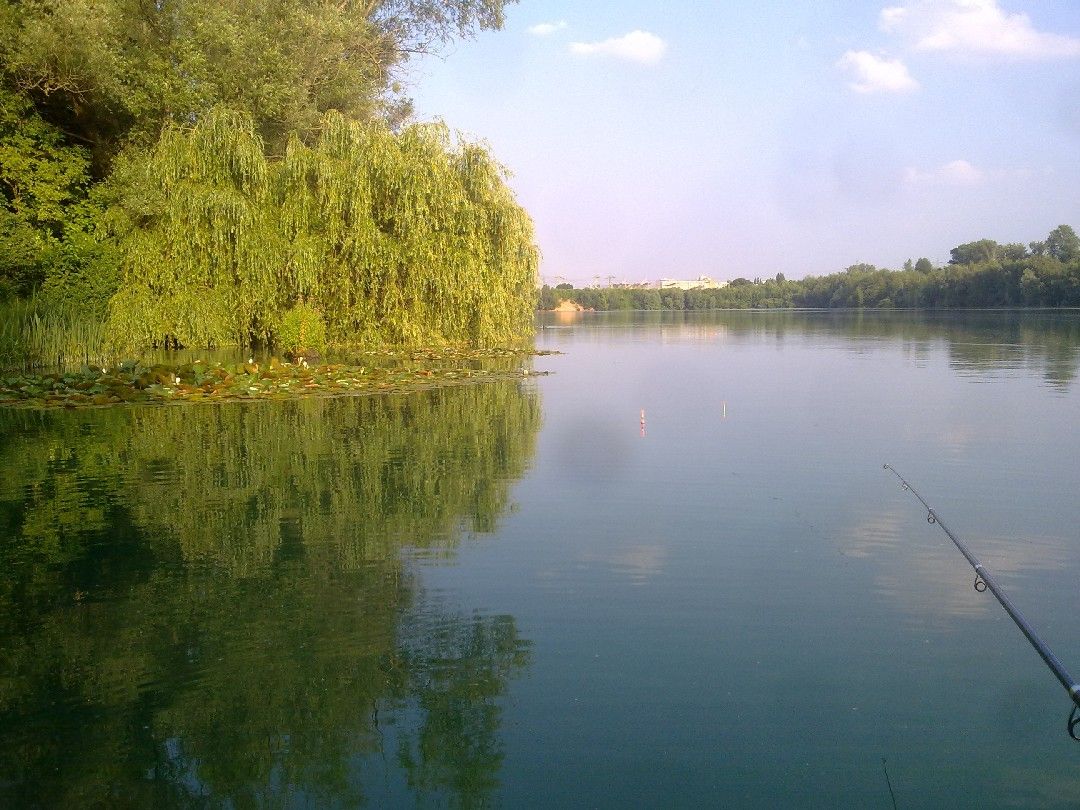 Baggersee Gremberghoven (Alberty-Seen) angeln